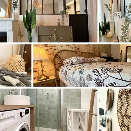 Le Rive Droite Apartment *