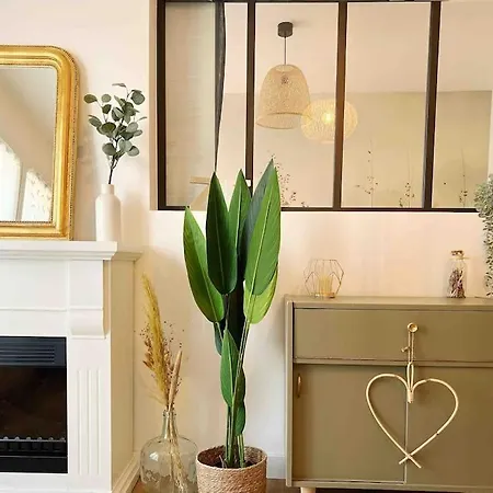 Le Rive Droite Apartment